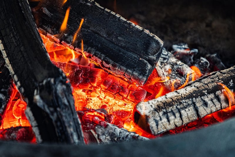 Barbecue Food